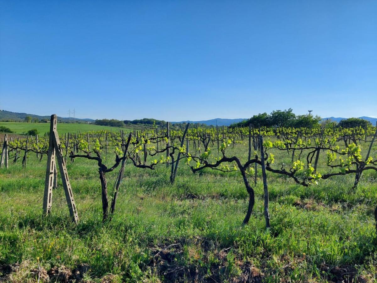 Tenuta I Lecci Terranuova Bracciolini Kültér fotó