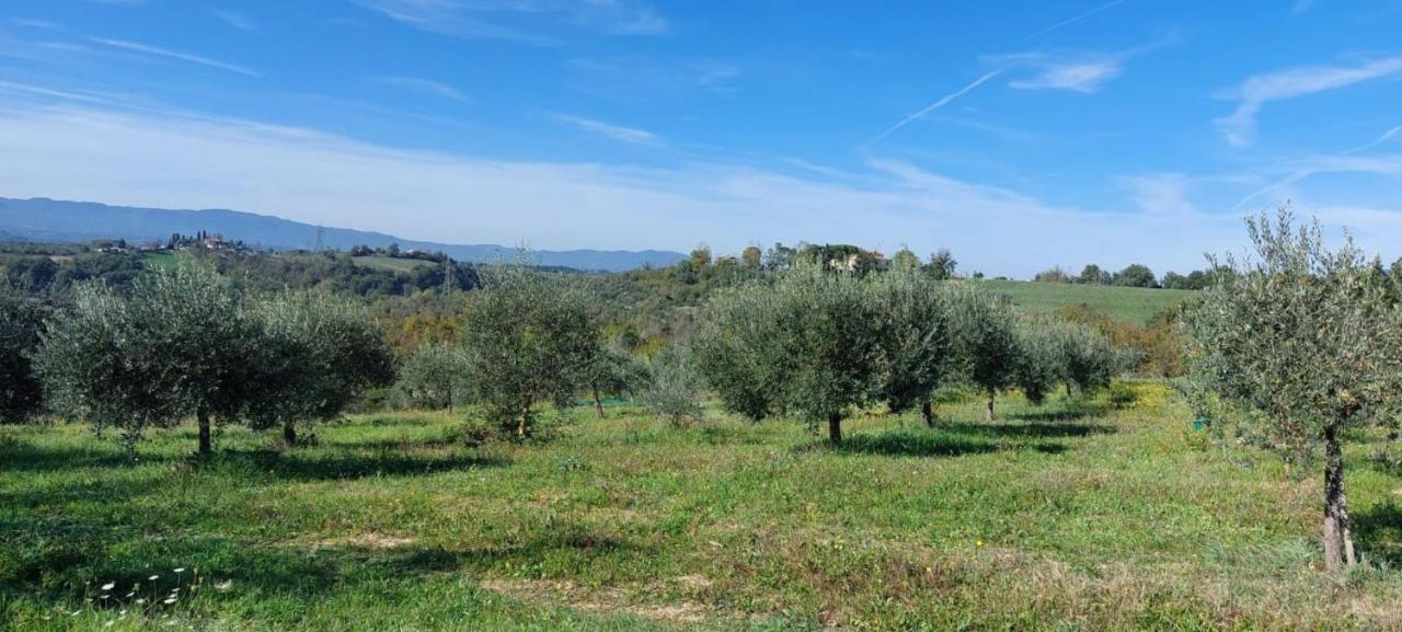 Tenuta I Lecci Terranuova Bracciolini Kültér fotó