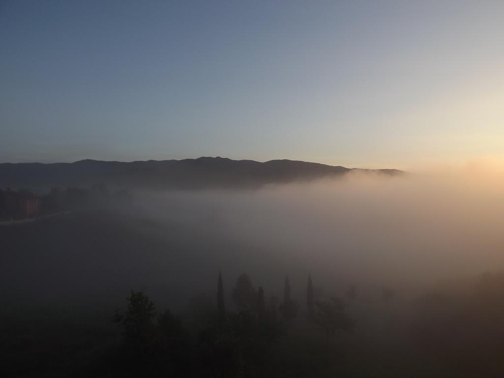 Tenuta I Lecci Terranuova Bracciolini Kültér fotó
